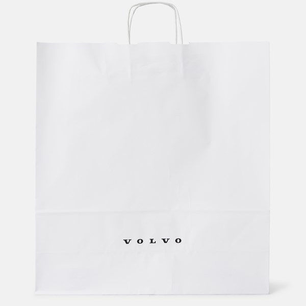 Picture of Premium Paper Bag (100-pack)